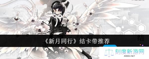 新月同行结卡带怎么选-结卡带推荐
