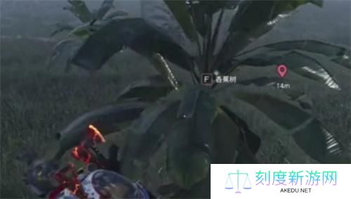 七日世界香蕉怎么获得-香蕉获取方法