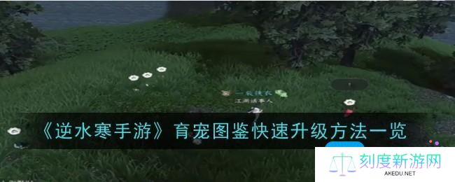 逆水寒手游育宠图鉴快速升级方法是什么-育宠图鉴快速升级方法一览