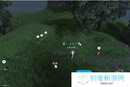 《逆水寒手游》育宠图鉴快速升级方法一览