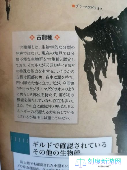 《怪物猎人荒野》古龙种大全一览